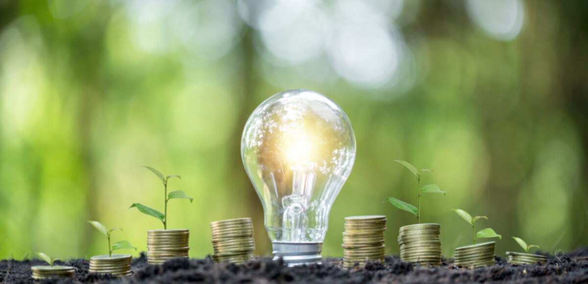 Glühbirne mit Pflanzen auf Münzstapeln als Symbol für Energiesparen